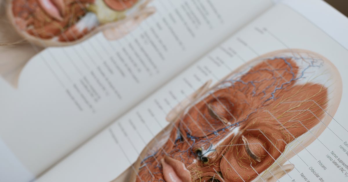 Assessing the Effects of Botox on Facial Symmetry Long-term